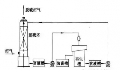 家水泥企業(yè)上榜2020年《財(cái)富》中國500強(qiáng)